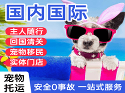 德宏芒市航空快递国际宠物托运 【国
